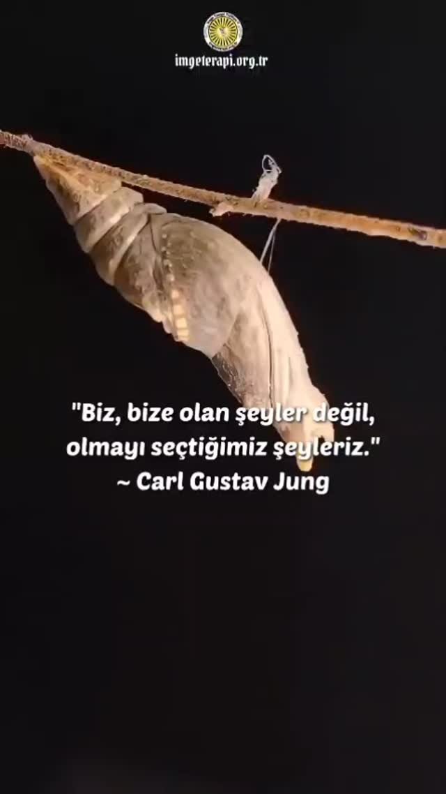 Elbette yaşadığımız her şey kişiliğimize iz bırakır; 
bazen bir yara, bazen bir ilham olur.

Ama asıl belirleyici olan, o izleri nasıl taşıdığımızdır.

Başımıza gelenler bizi şekillendirir, ama yönümüzü biz çizeriz. 

Ne yöne evrileceğimiz, hangi yolu seçeceğimiz, hangi anlamı yükleyeceğimiz bizim kararımızdır.

Peki sen, yaşadıklarının ardından kendi yolunu nasıl çiziyor; kendi dönüşümünü başlatmak için hangi adımları atıyorsun?
.
@imgeterapiturkiye
.
.
.
.
.
.
.
.
.
.
#terapi #psikoloji #söz #gün #bursa